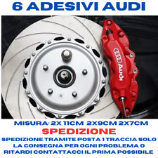 Adesivi audi pinze usato  Solferino