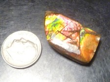 ammolite stone for sale  Redlands