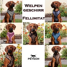 Welpengeschirr hundegeschirr s gebraucht kaufen  Saarlouis