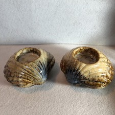 Ceramic glazed shells for sale  Palm Coast