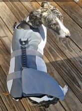 Dog life jacket for sale  Byron