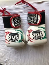 Cleto reyes sparring for sale  LONDON