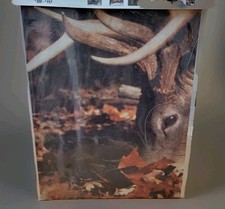 Vintage white tail for sale  Columbus