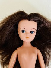 Pedigree styling sindy for sale  TRURO