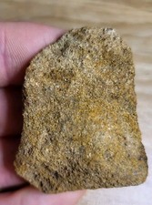 Triceratops skull fossil. for sale  SOLIHULL