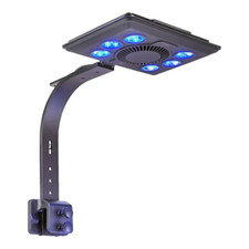 Maxspect jump l165 for sale  GRIMSBY