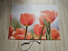 Infrarot bildheizung infraroth gebraucht kaufen  Bad Kreuznach