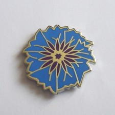 Bleuet d'occasion  Saint-Brieuc