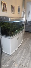 Complete tropical fish for sale  ENFIELD