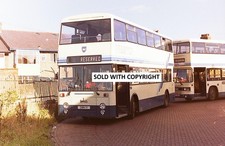 Bus negative 35mm for sale  Shipping to Ireland
