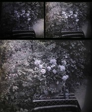 Autochrome stereoscopic photog d'occasion  Expédié en Belgium