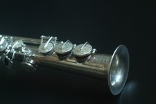 Saxofone soprano Weltklang Nenibedni + bocal de metal comprar usado  Enviando para Brazil