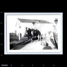 Vintage photo men for sale  Grass Valley