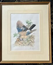 Watercolour painting jay for sale  ASCOT