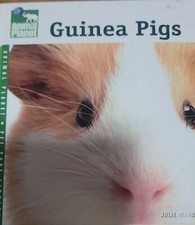Guinea pigs animal for sale  Brooklyn
