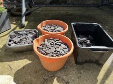 decorative aggregate for sale decorative aggregate for sale BOGNOR REGIS