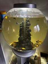 Biorb classic 60l for sale  BOSTON