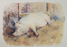 Original watercolour sleeping for sale Original watercolour sleeping for sale  WIRRAL