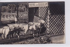 Limoges photo card d'occasion  Expédié en Belgium
