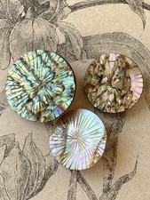 Boutons anciens nacre d'occasion  Nantes-