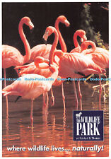 D099181 wildlife park for sale  WARLINGHAM