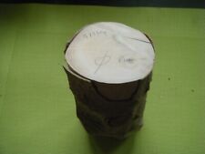 Bois houx ébénisterie d'occasion  Guilers
