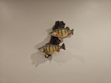 Yellow perch replica for sale  Blackfoot