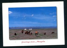 Mongolia 2006 cartolina usato  Remanzacco