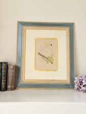 Framed cockatoo bird for sale Framed cockatoo bird for sale  DORKING