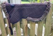 Roma sheepskin numnah for sale  DULVERTON