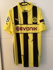 Borussia dortmund champions gebraucht kaufen  Saarbrücken