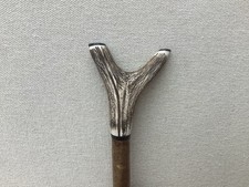 Red deer antler for sale  SALTBURN-BY-THE-SEA