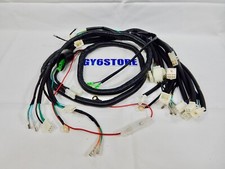 TAO TAO POWERMAX 150cc GY6 SCOOTER CONJUNTO COMPLETO DE CHICOTE DE FIOS *OEM* comprar usado  Enviando para Brazil
