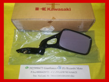 Kawasaki zzr250 56001 usato  Conversano