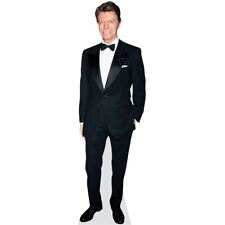 David bowie pappaufsteller gebraucht kaufen  Hannover