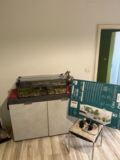 tartarughiera terra usato tartarughiera terra usato Modena