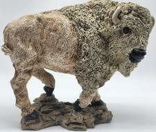 Grey white bison for sale  Kingston