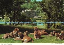 D251819 lions longleat for sale  WARLINGHAM