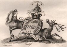Cardiff. coat arms. for sale  LONDON