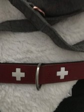 Hundehalsband leder swiss gebraucht kaufen  Datteln