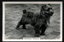 Tobacco card senior for sale  ASHFORD
