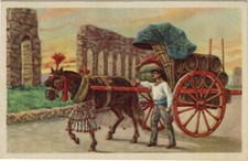 Roma carro vino usato  Roma