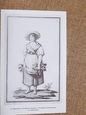 Vendemmiatrice massaia fossomb usato  Villarosa