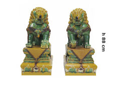 Coppia cani pho usato Coppia cani pho usato  Torino