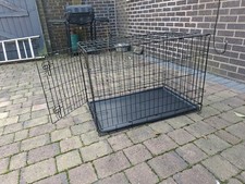Pet dog puppy for sale  CREWE