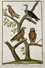 1751 owl eagle for sale  NORWICH