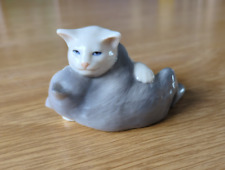 Coppia gattini royal usato  Milano