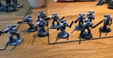 Space wolves grey for sale  PRUDHOE