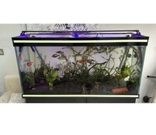 4ft fish tank for sale  NEWPORT