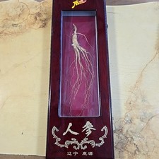 Changbai mountain wild for sale  Absarokee